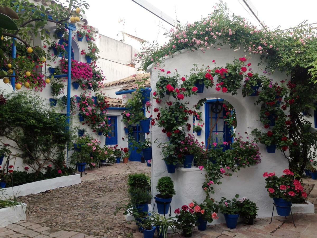 Patio San Lorenzo Кордова Экстерьер фото
