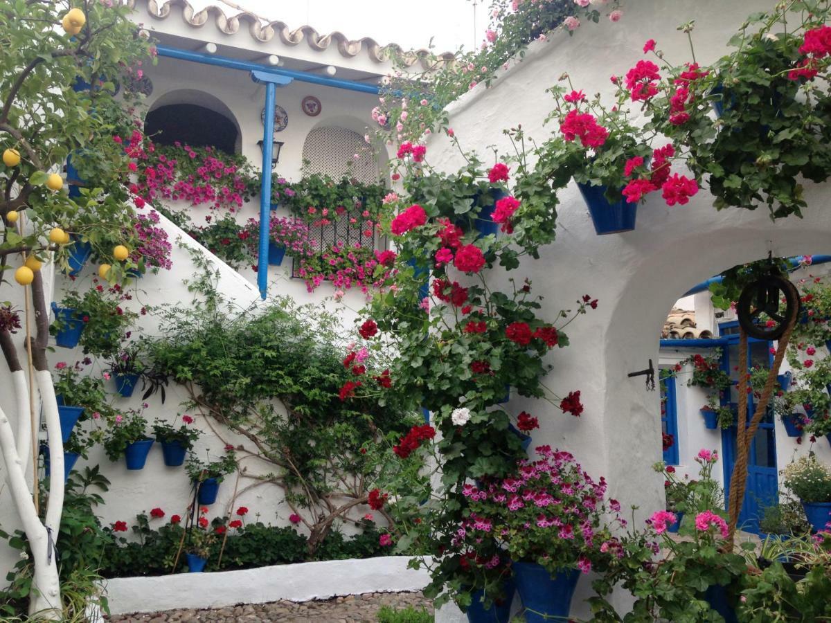 Patio San Lorenzo Кордова Экстерьер фото